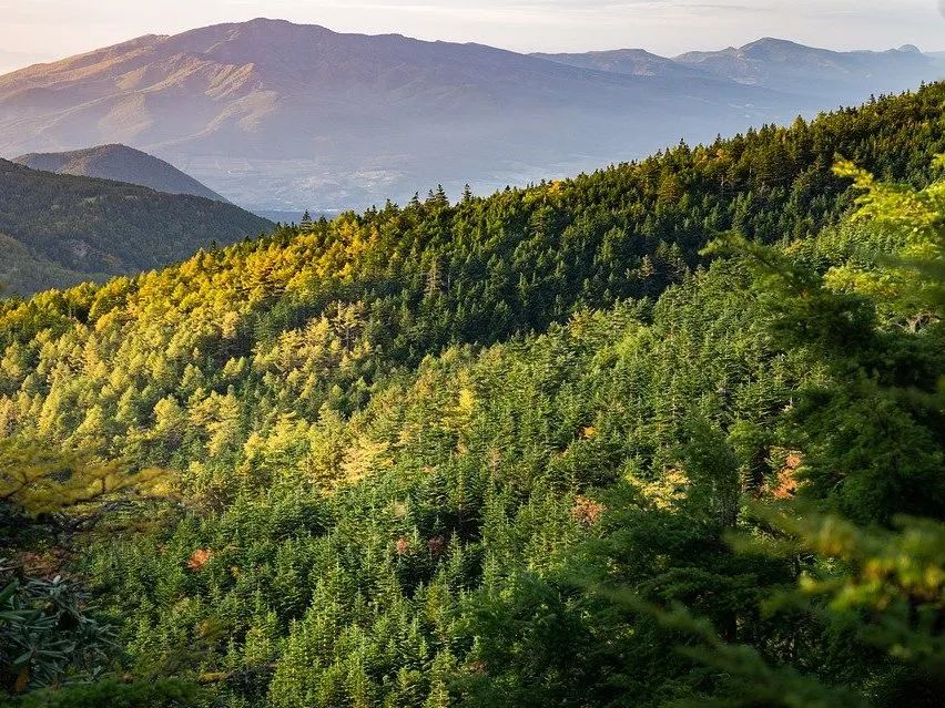 可变环境燃烧实验舱